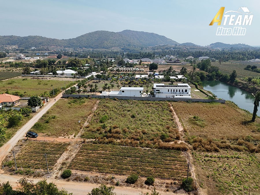 img_DJI_20260128124610_0311_D