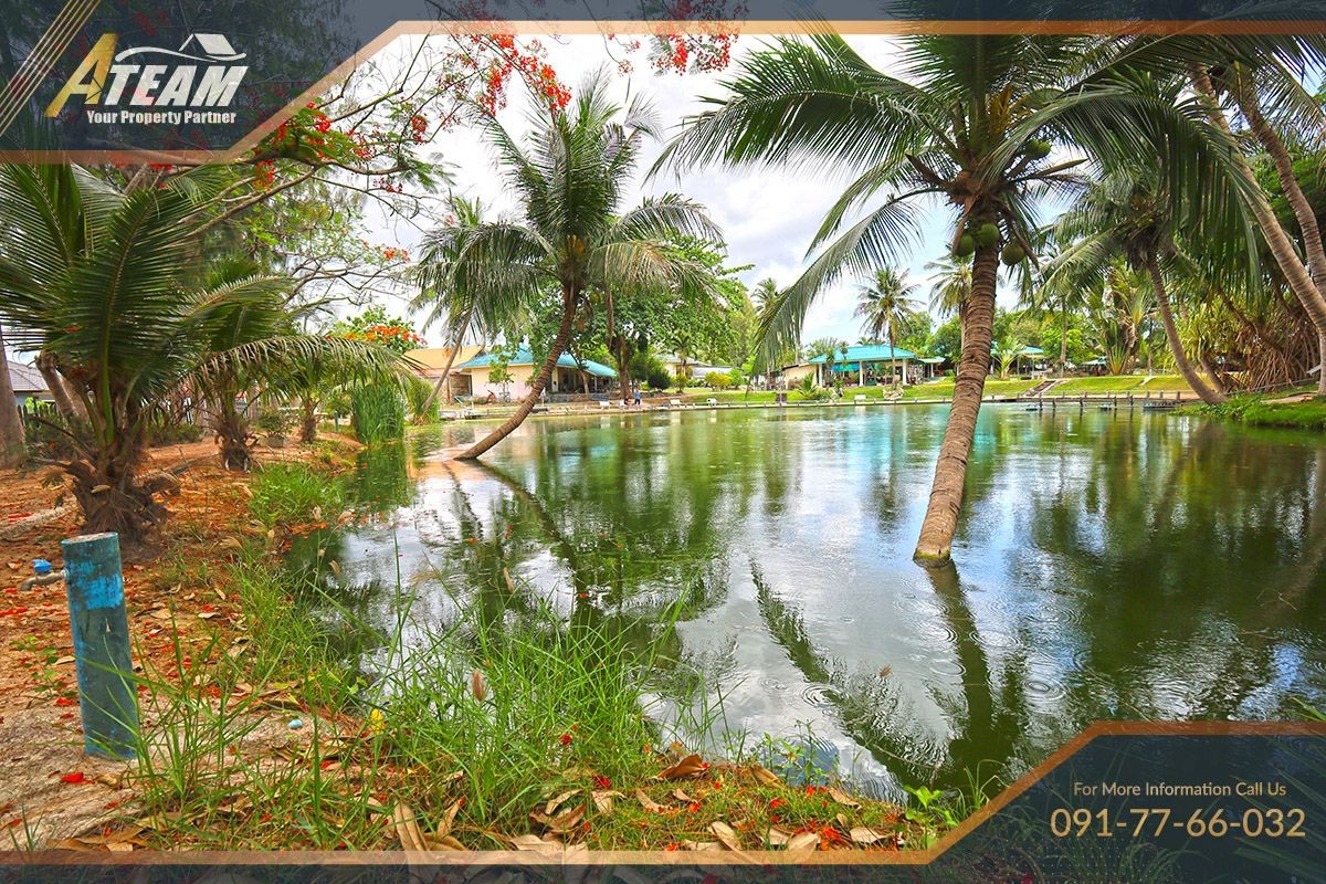 img_HHFL busuness for sale huahin fishing resort3
