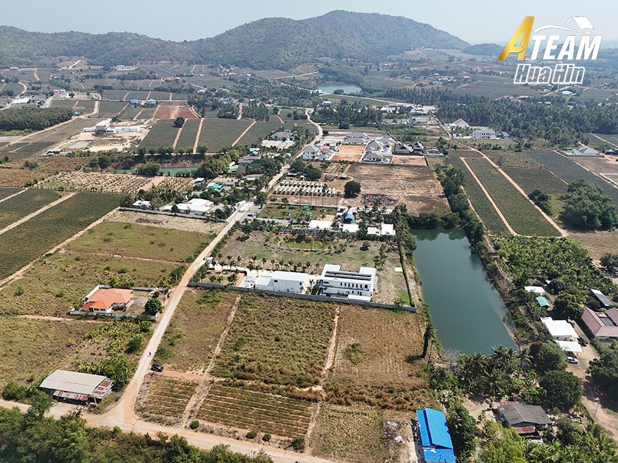 img_DJI_20260128124452_0307_D