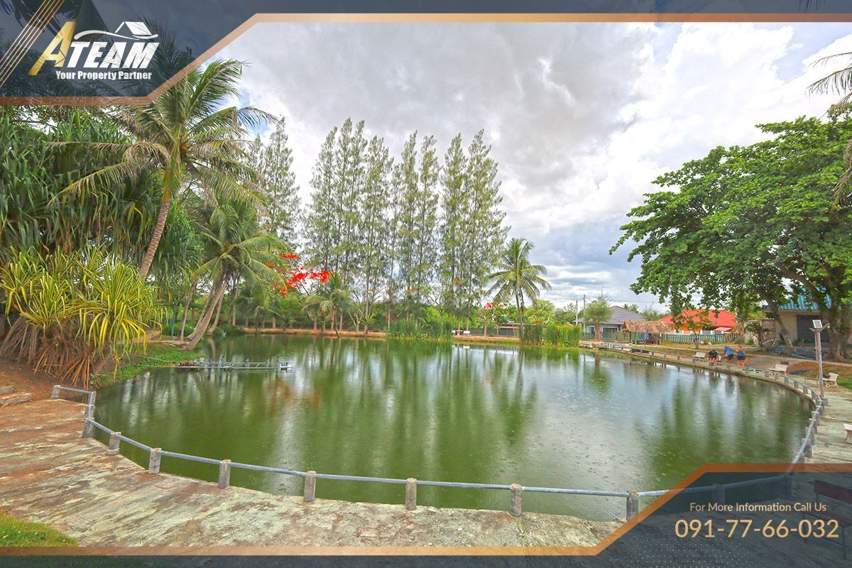 img_HHFL busuness for sale huahin fishing resort10