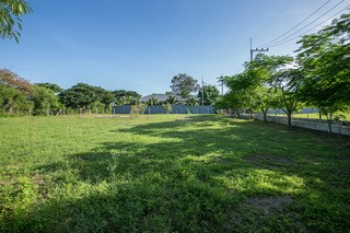 img_NMMM0982