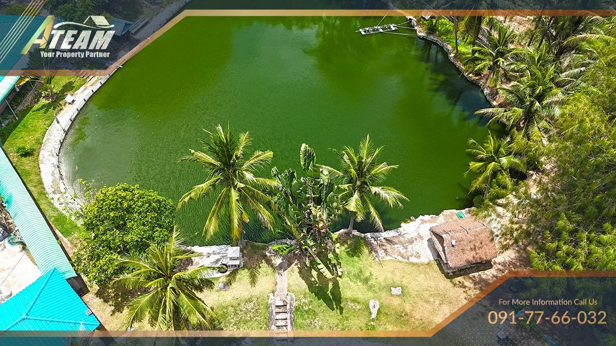HHFL busuness for sale huahin fishing resort43