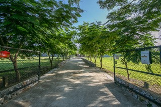img_NMMM0980