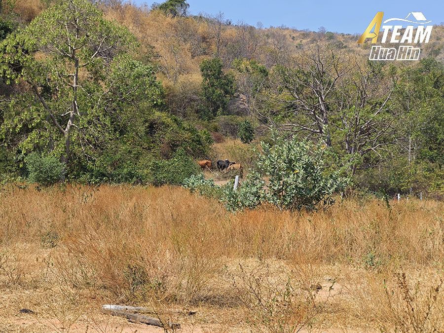 Land for sale KhaoTao SaeView huahin15