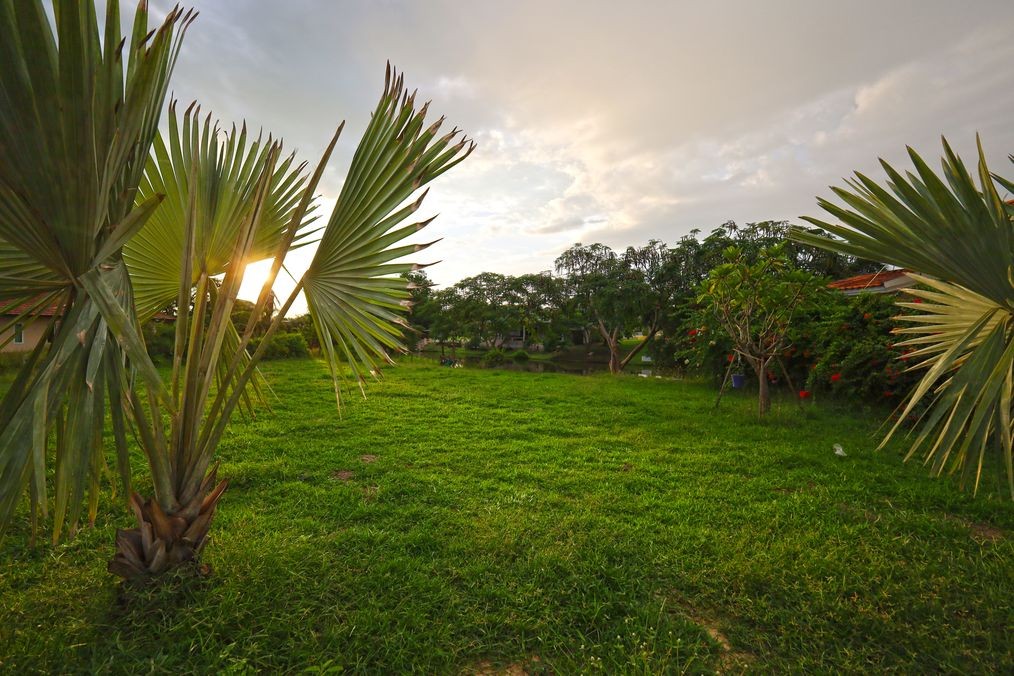 img_lakefront land for sale near black mountain Hua Hin3