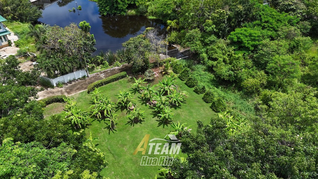 img_DJI_20250918114038_0036_D