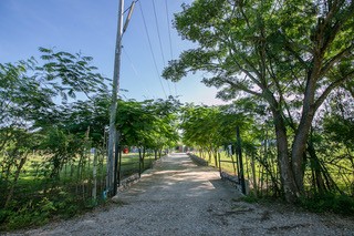 img_NMMM0979