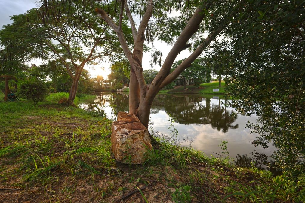 img_lakefront land for sale near black mountain Hua Hin7