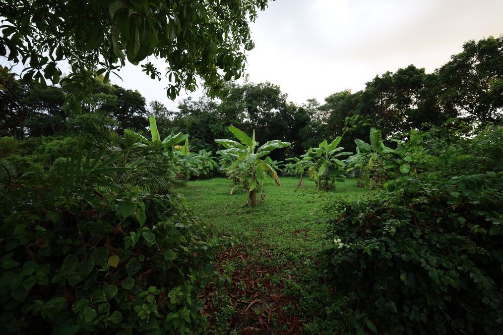 img_1_360 Sqm Land in Black Mountain Hua Hin3