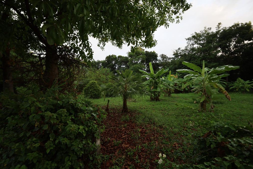img_1_360 Sqm Land in Black Mountain Hua Hin4