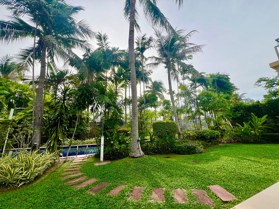 S 23846933 0 0 0