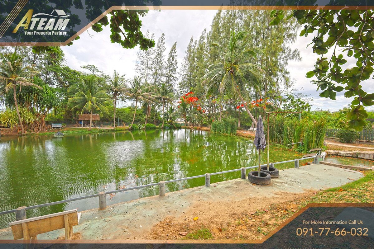 img_HHFL busuness for sale huahin fishing resort5