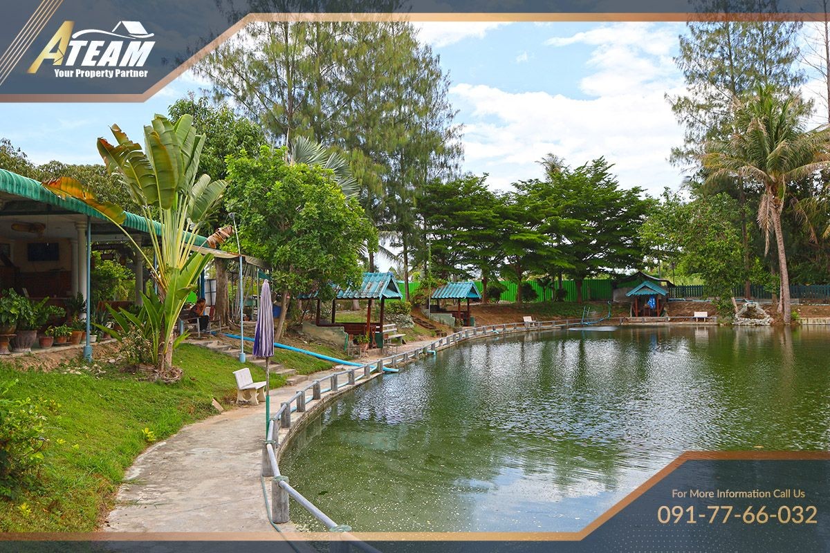 img_HHFL busuness for sale huahin fishing resort13