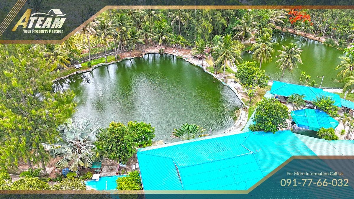 HHFL busuness for sale huahin fishing resort47