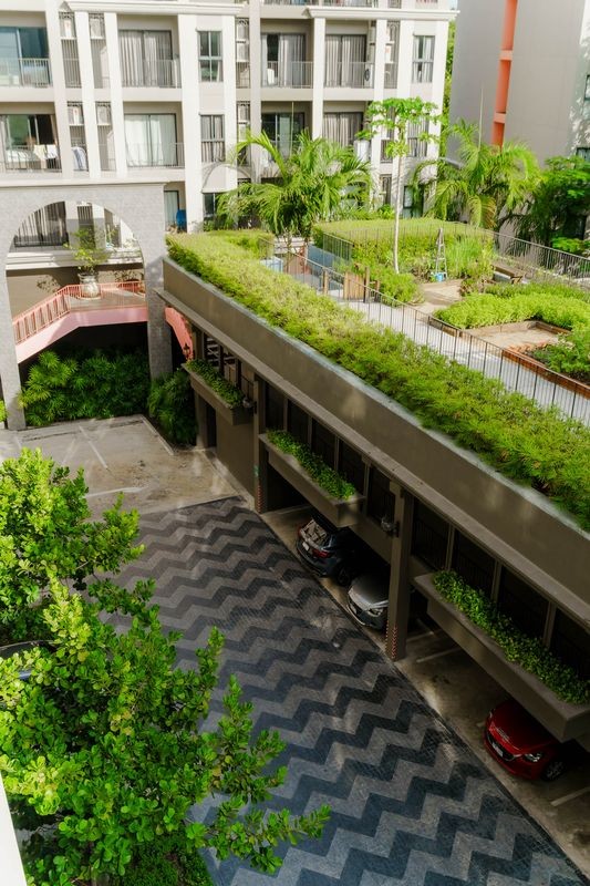 Lahaban Roland 6