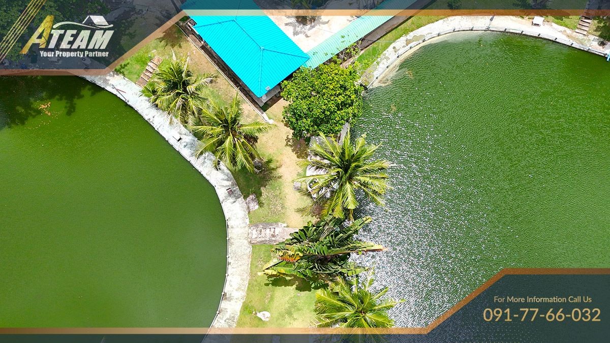 HHFL busuness for sale huahin fishing resort46
