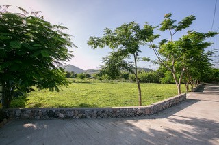 img_NMMM0975