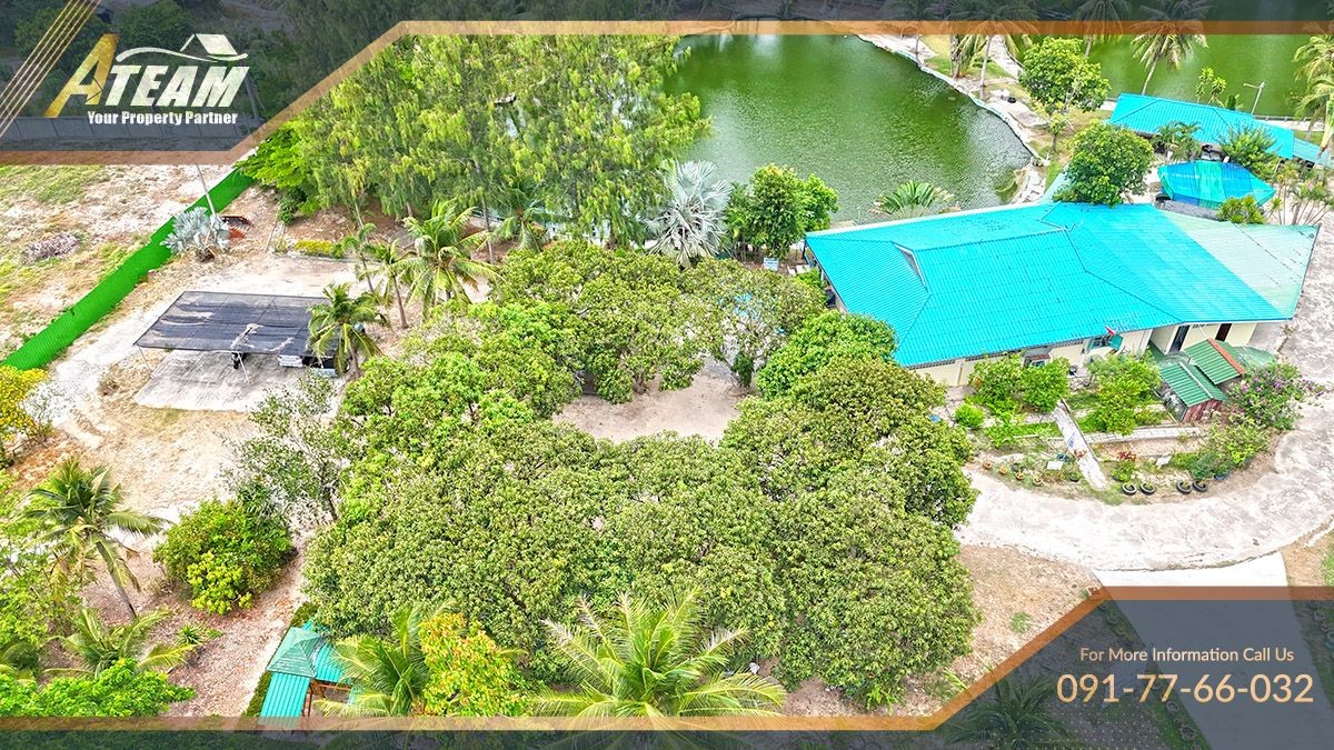 HHFL busuness for sale huahin fishing resort49
