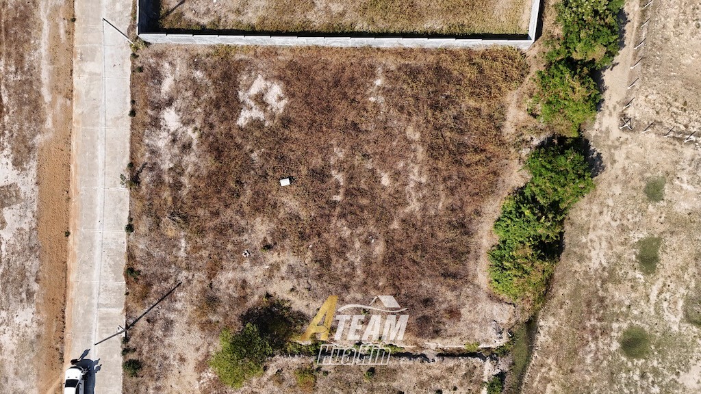 img_DJI_20260116143804_0153_D
