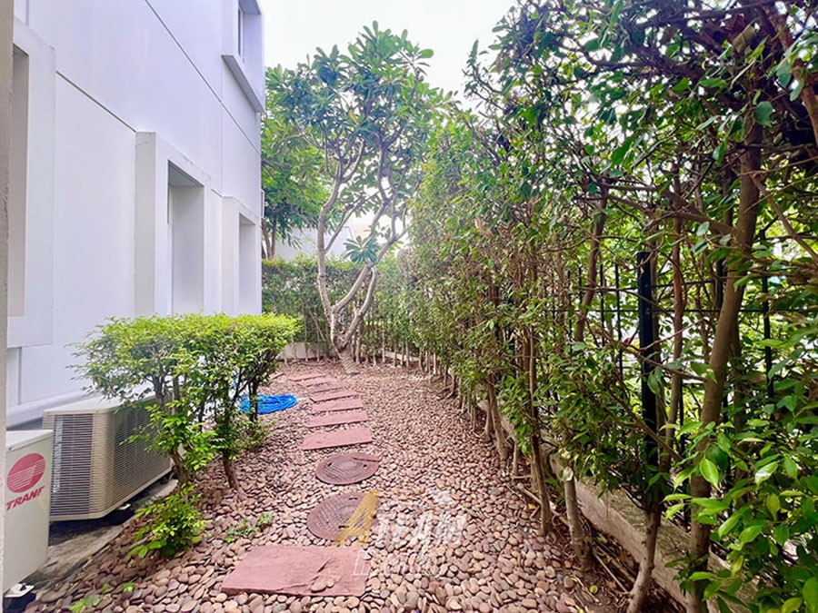 S 23846955 0
