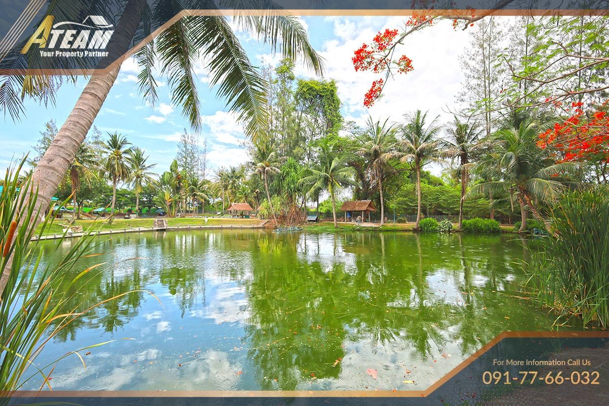 img_HHFL busuness for sale huahin fishing resort9