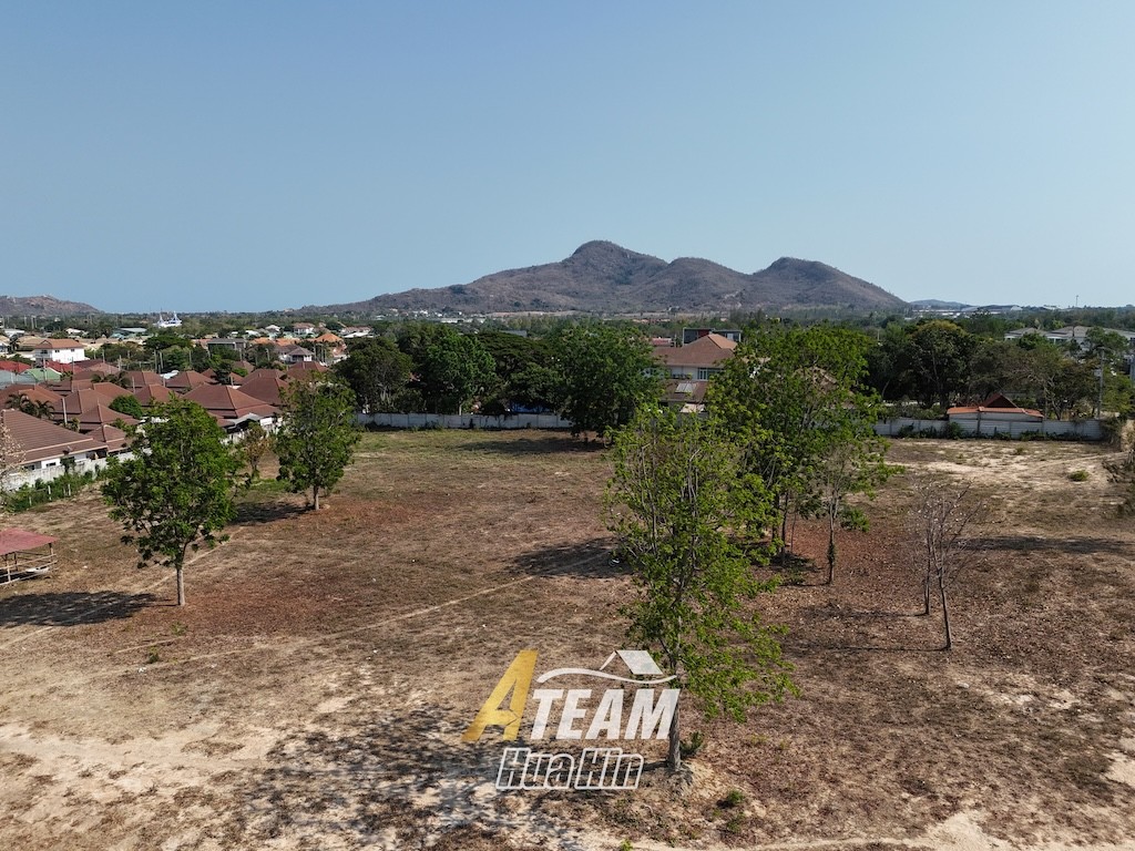 img_DJI_20260325152902_0505_D
