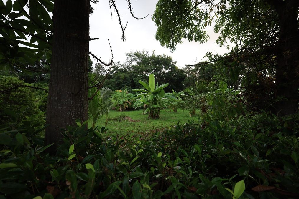 img_1_360 Sqm Land in Black Mountain Hua Hin2