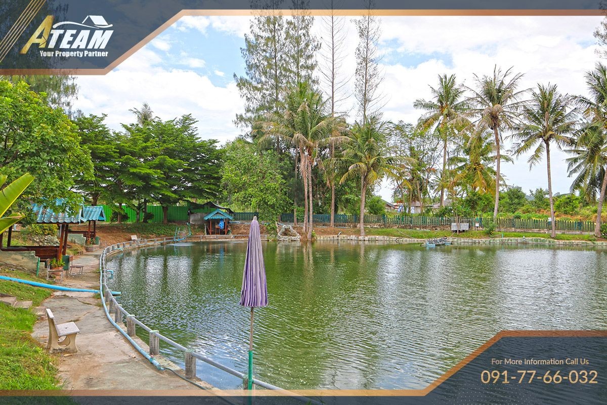 img_HHFL busuness for sale huahin fishing resort14
