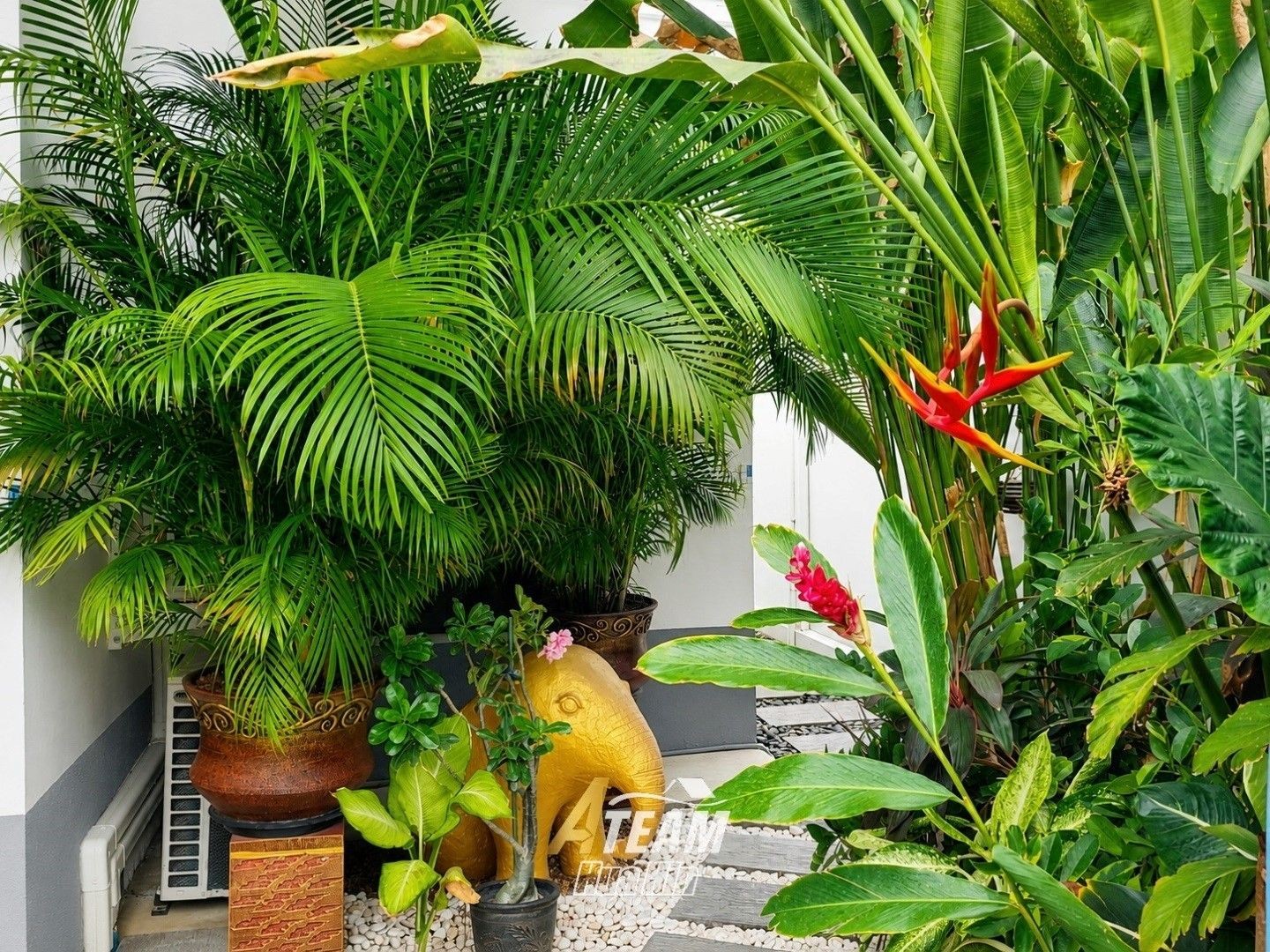 house for sale 2bedroom sunshine sampraya21
