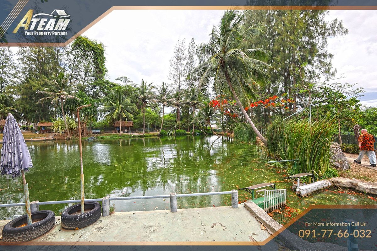 img_HHFL busuness for sale huahin fishing resort8