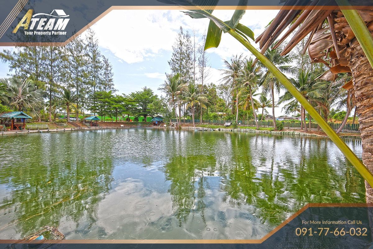 img_HHFL busuness for sale huahin fishing resort11