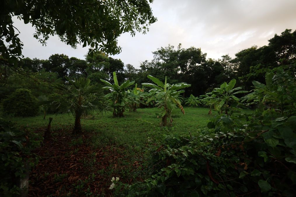 img_1_360 Sqm Land in Black Mountain Hua Hin5