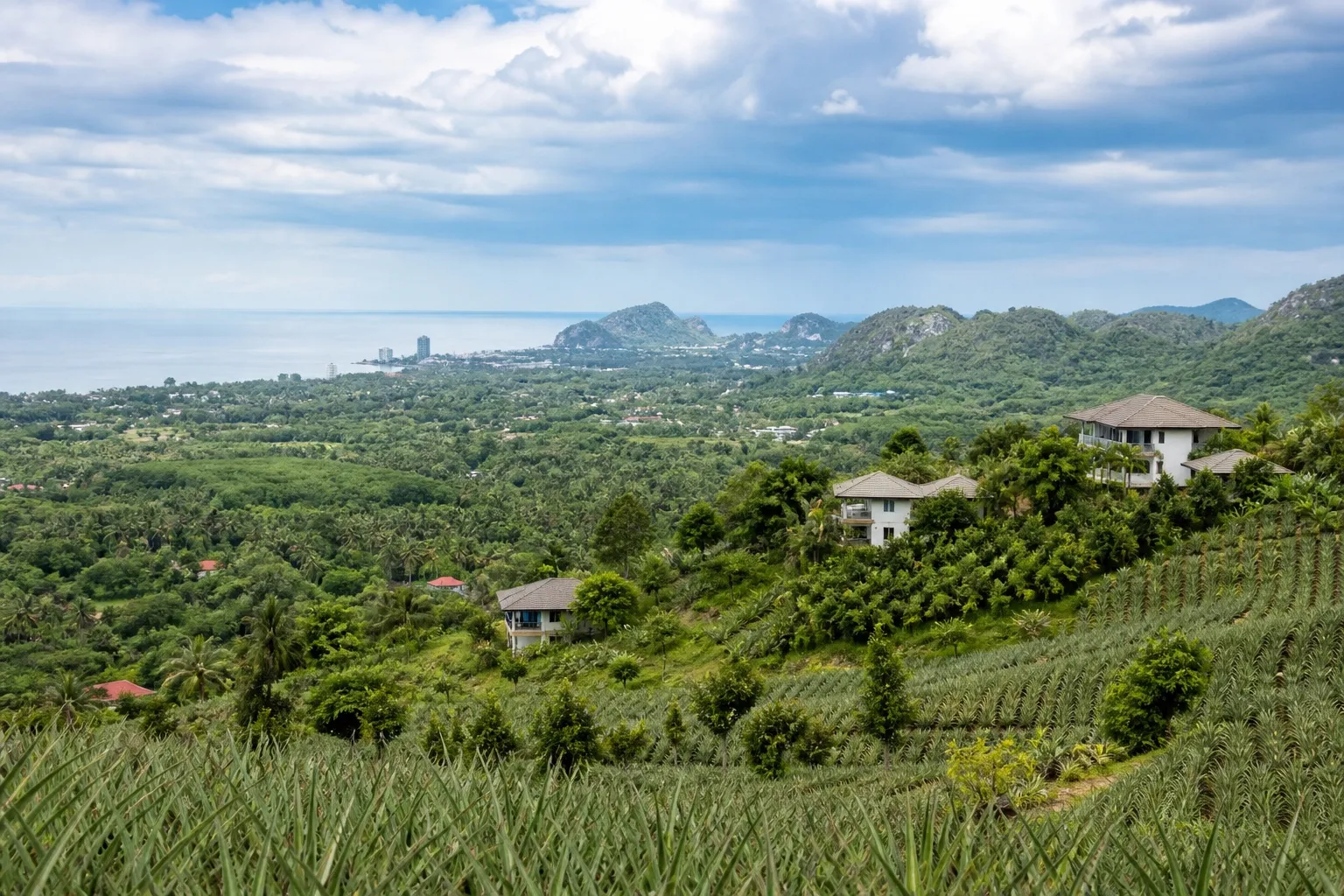 Collines de Hua Hin Ouest