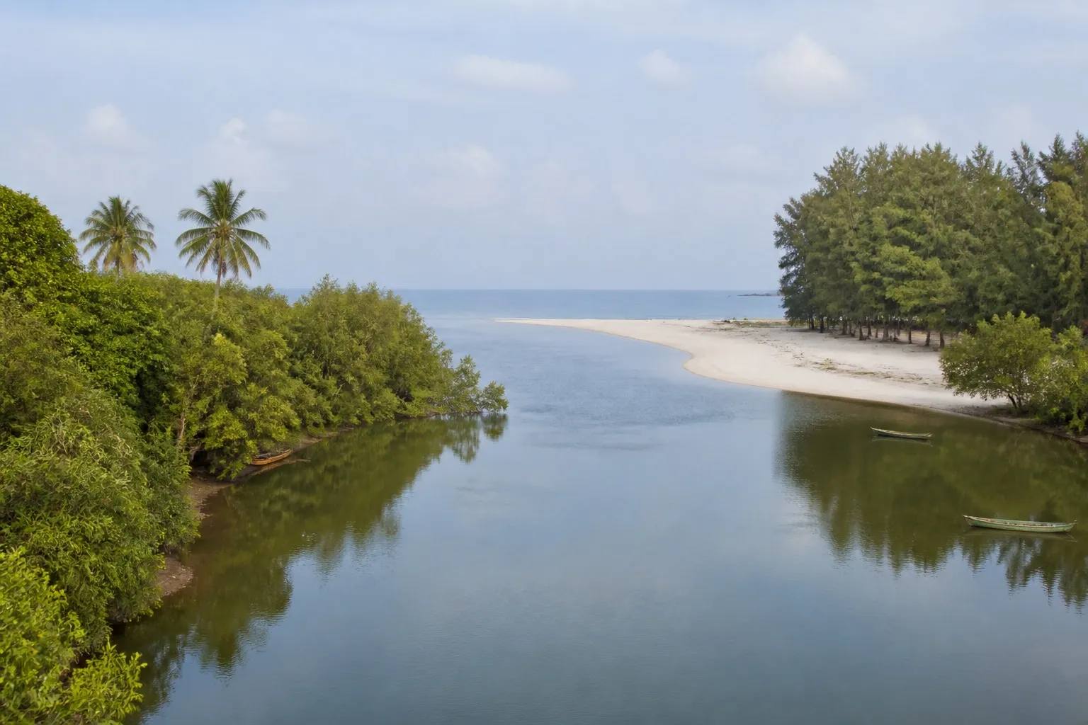 La mangrove de Pranburi